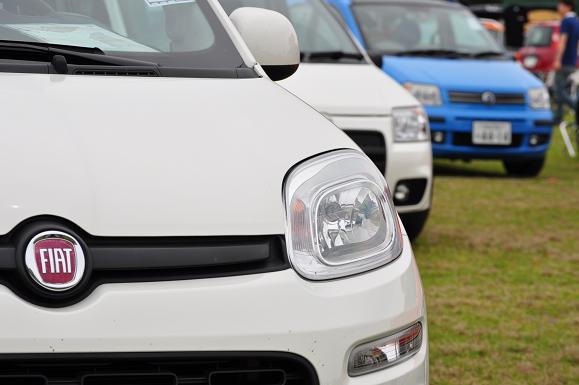 PANDA2014 (26).JPG